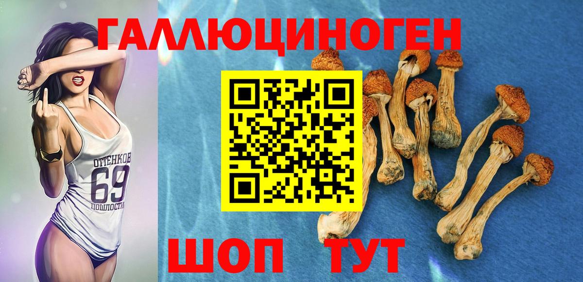 Галлюциногенные грибы GOLDEN TEACHER  Псилоцибиновые грибы MAGIC MUSHROOMS  Вход с VPN  Пугачёв 